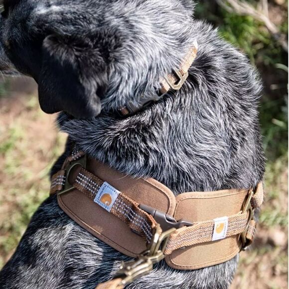 CARHARTT NYLON DUCK NO PULL DOG HARNESS - Picture 9 of 14